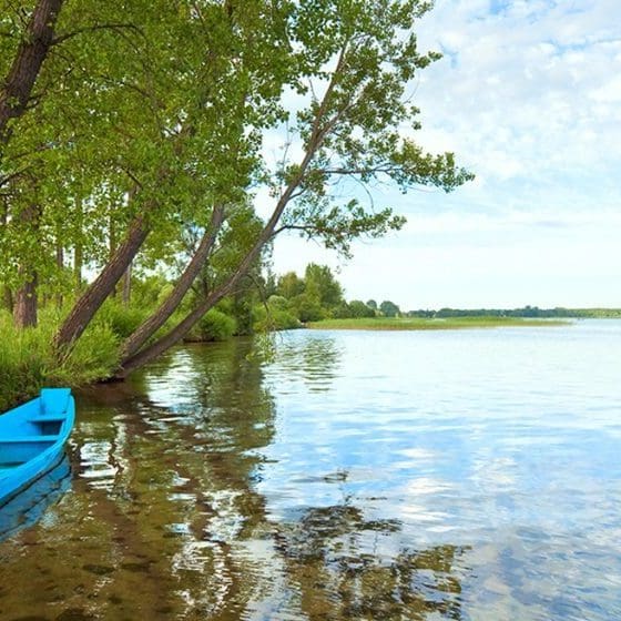 the-reserve-on-the-saluda-river