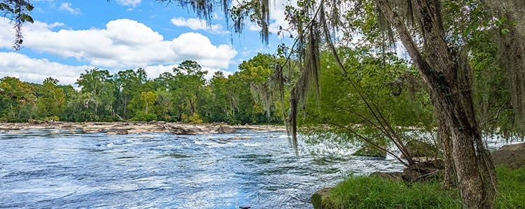 reserve-on-the-saluda-riverfront-views