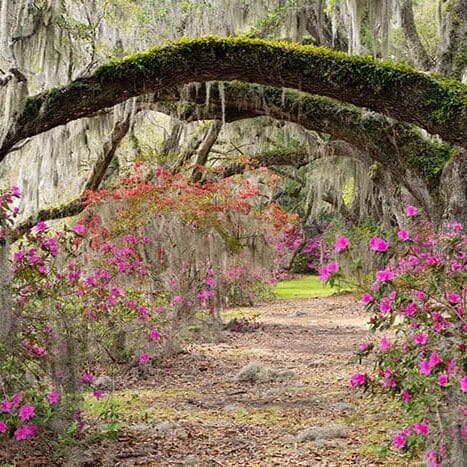 Planning-For-Springtime-In-Columbia