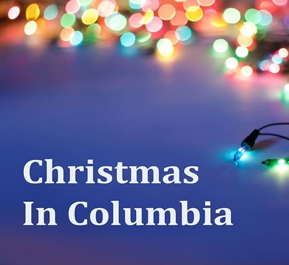 Christmas-In-Columbia - Lady Street Builders